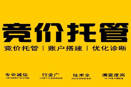 百度推广代理商的客户案例：从零到一的突破